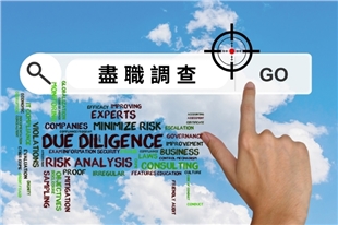 What is AI Due Diligence?